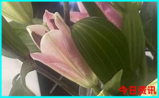 适合带孩子玩的景点